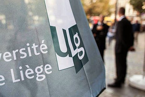 Survol d'un examen du TFLF (Université de Liège)