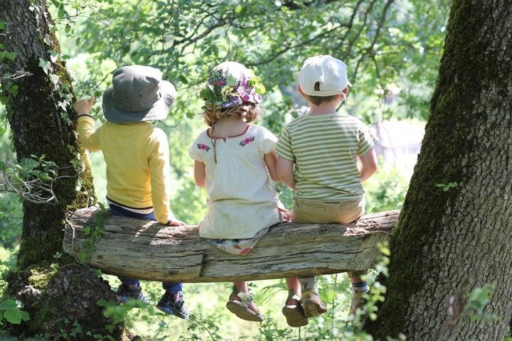 On vous explique les grandes lignes de la «<small class="fine d-inline"> </small>pédagogie par la nature<small class="fine d-inline"> </small>»