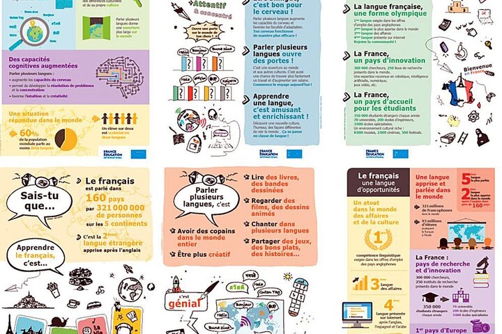 Promotion de l'apprentissage plurilingue et de l'apprentissage du Fle